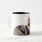 メインのあらいぐま猫 ツートーンマグカップ (正面左)