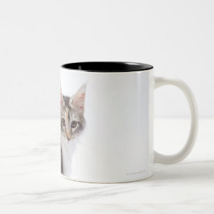 メインのあらいぐま猫 ツートーンマグカップ