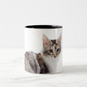 メインのあらいぐま猫 ツートーンマグカップ (中央)