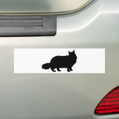 メインのあらいぐま猫 バンパーステッカー (車上)