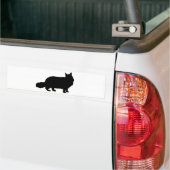 メインのあらいぐま猫 バンパーステッカー (トラック上)