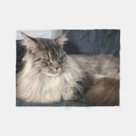 メインのあらいぐま猫 フリースブランケット