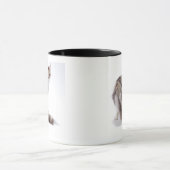 メインのあらいぐま猫 マグカップ (中央)