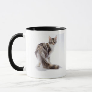 メインのあらいぐま猫 マグカップ
