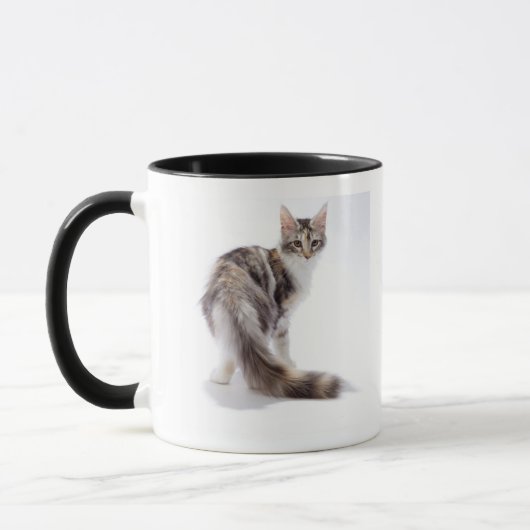 メインのあらいぐま猫 マグカップ (左)