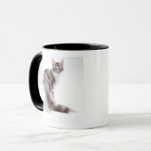 メインのあらいぐま猫 マグカップ (正面左)