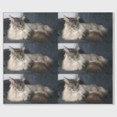 メインのあらいぐま猫 ラッピングペーパー (フラット)