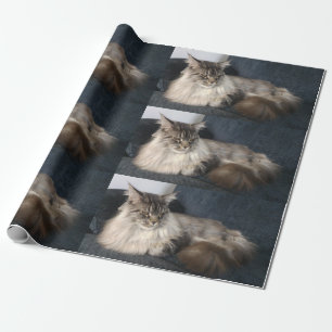 メインのあらいぐま猫 ラッピングペーパー