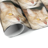 メインのあらいぐま猫 ラッピングペーパー (ロールコーナー)