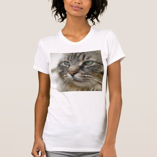メインのあらいぐま猫 Tシャツ (正面)