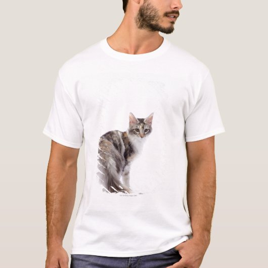 メインのあらいぐま猫 Tシャツ (正面)