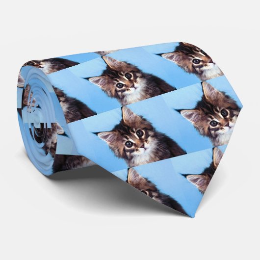 メインのあらいぐま ネクタイ (ロール)