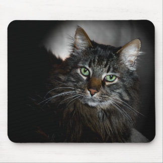メインのあらいぐま マウスパッド