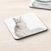 メインのあらいぐま(8か月古い)のモデル コースター (左側)