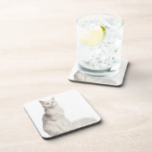 メインのあらいぐま(8か月古い)のモデル コースター (右側)