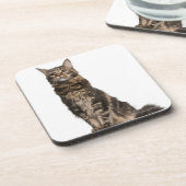 メインのあらいぐま(8か月古い) コースター (左側)