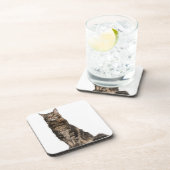 メインのあらいぐま(8か月古い) コースター (右側)