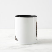 メインのあらいぐま(8か月古い) マグカップ (中央)