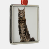 メインのあらいぐま(8か月古い) メタルオーナメント (右)