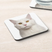 メインのあらいぐま(8か月古い) 2 コースター (左側)