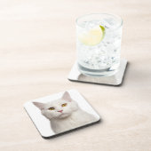 メインのあらいぐま(8か月古い) 2 コースター (右側)