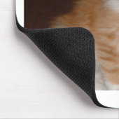 メインのあらいぐまkitten.png マウスパッド (コーナー)