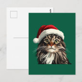 メインのクーン、クリスマス、子ネコ、子猫プレゼント ポストカード (正面/裏面)