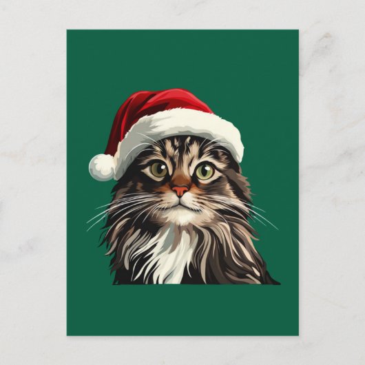 メインのクーン、クリスマス、子ネコ、子猫プレゼント ポストカード (正面)