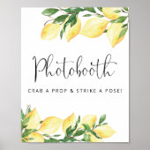 メインのレモン写真撮影看板 ポスター (正面)