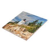 メインの低音港 タイル (側面)