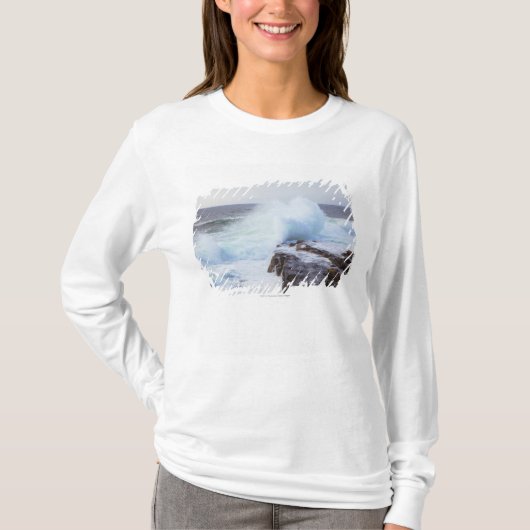 メインの海岸に衝突する大西洋の波 Tシャツ (正面)