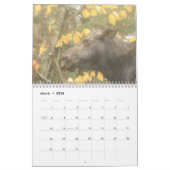 メインの野生の生命2013カレンダー カレンダー (3月 2026)