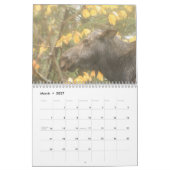 メインの野生の生命2013カレンダー カレンダー (3月 2027)