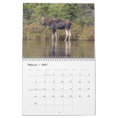 メインの野生の生命2013カレンダー カレンダー (2月 2027)