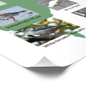 メインの鳥のポスター ポスター (コーナー)