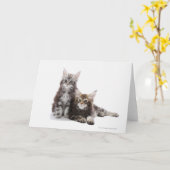 メインの2匹の子ネコ カード (黄色い花)