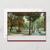 メインアブ、ノックスビルTN 1909ヴィンテージ ポストカード (正面/裏面)