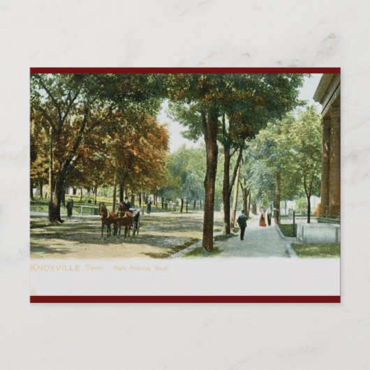 メインアブ、ノックスビルTN 1909ヴィンテージ ポストカード (正面)