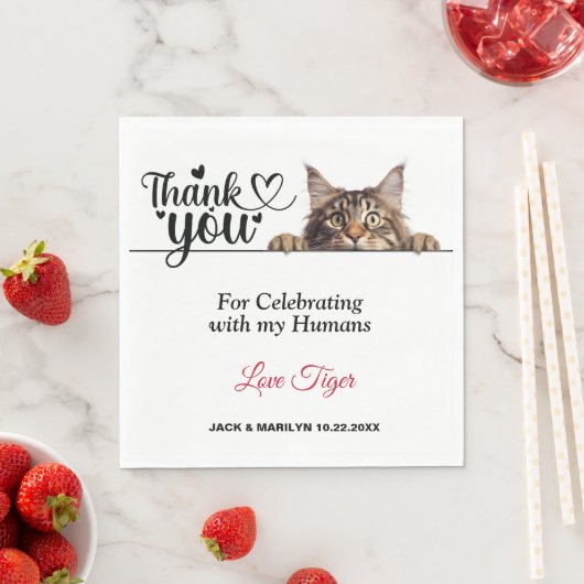 メインクーンののぞき込み猫の紙ナプキン スタンダードランチョンナプキン (インサイチュ)