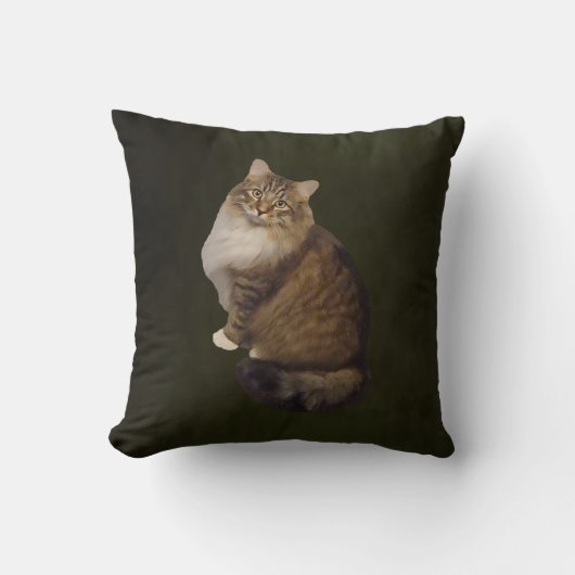 メインクーンの猫の肖像画 クッション (正面)