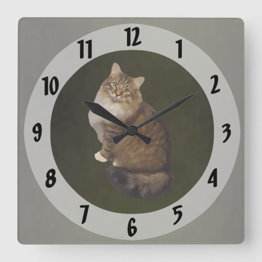メインクーンの猫の肖像画 スクエア壁時計 (正面)
