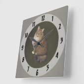 メインクーンの猫の肖像画 スクエア壁時計 (傾斜)