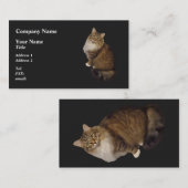 メインクーンの猫の肖像画 名刺 (正面/裏面)