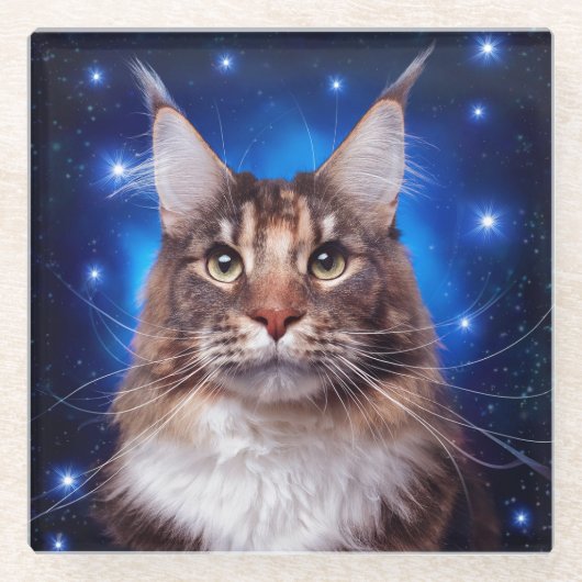 メインクーンの猫 青い背景の星 ガラスコースター (正面)