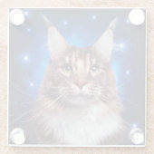 メインクーンの猫 青い背景の星 ガラスコースター (裏面)