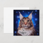 メインクーンの猫 青い背景の星 招待状 (正面/裏面)