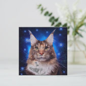 メインクーンの猫 青い背景の星 招待状 (スタンド正面)