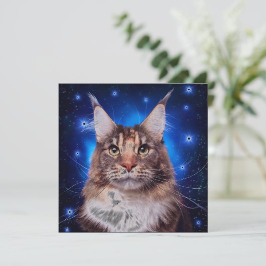 メインクーンの猫 青い背景の星 招待状 (スタンド正面)