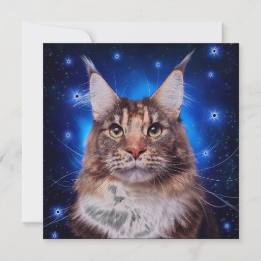 メインクーンの猫 青い背景の星 招待状 (正面)