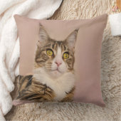 メインクーンキッテンポートレート クッション (ブランケット)